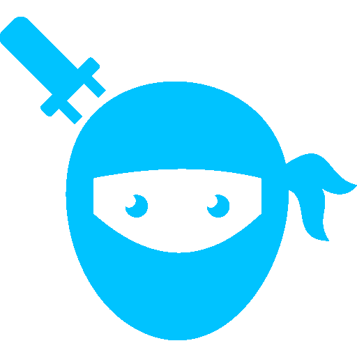 Festival Ninja